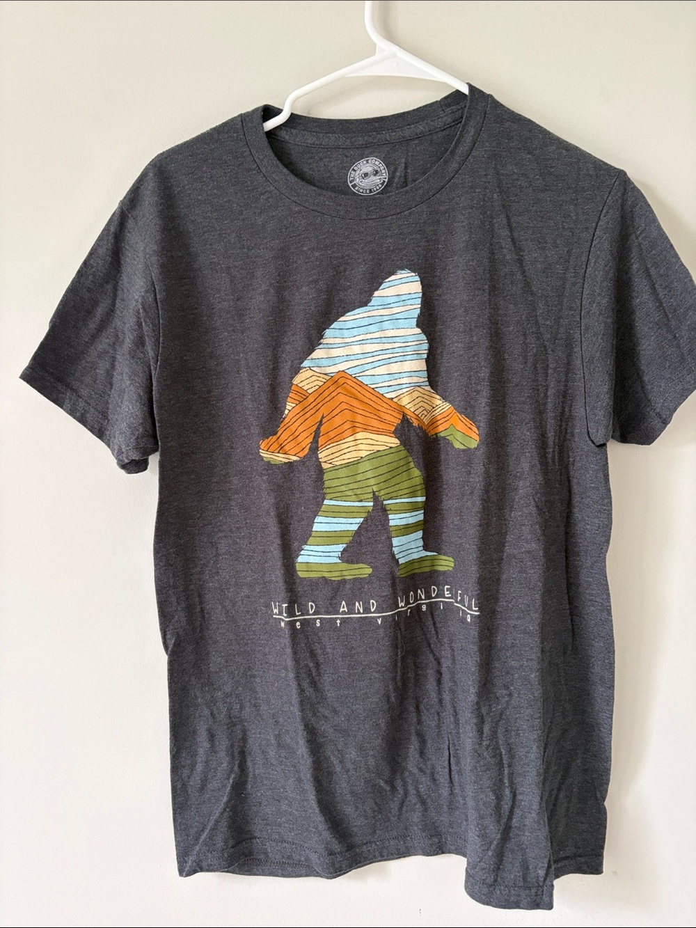Wild and Wonderful Striped Bigfoot Graphic Tee - Charcoal